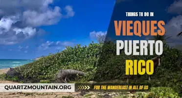 14 Fun Things to Do in Vieques, Puerto Rico