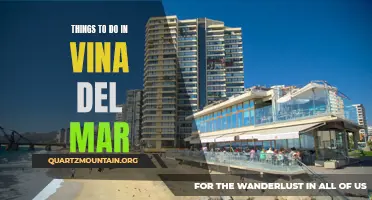 10 Must-Do Activities in Vina del Mar for an Unforgettable Experience