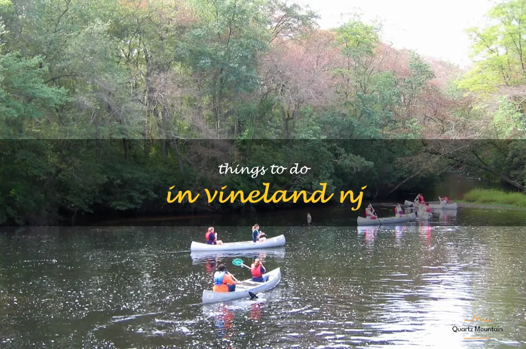 things to do in vineland nj
