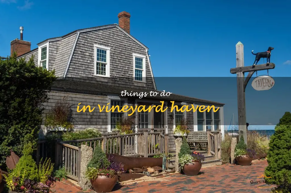 things to do in vineyard haven