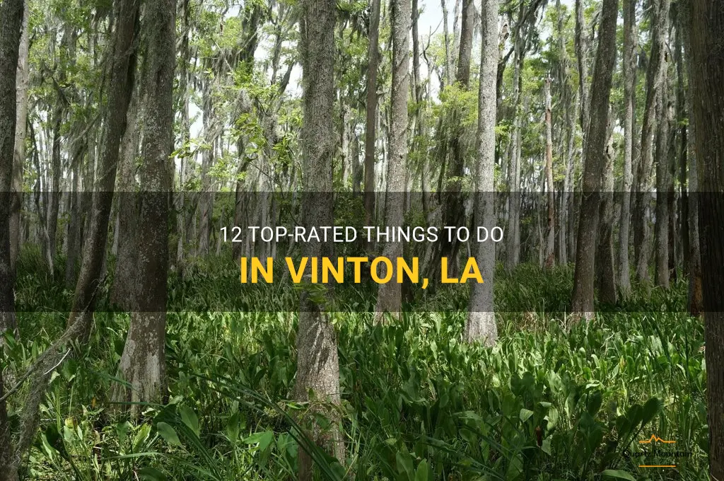 things to do in vinton la