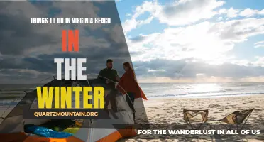 14 Winter Activities to Experience in Virginia Beach