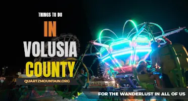 12 Fun Things to Do in Volusia County, Florida