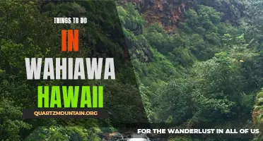 Wonderful Wahiawa: Exploring the Gems of Hawaii
