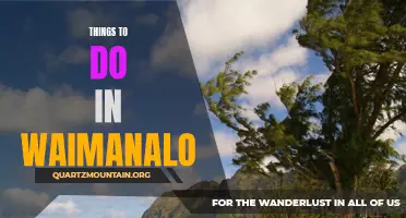 10 Exciting Activities to Experience in Waimanalo