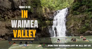 13 Exciting Activities to Experience at Waimea Valley
