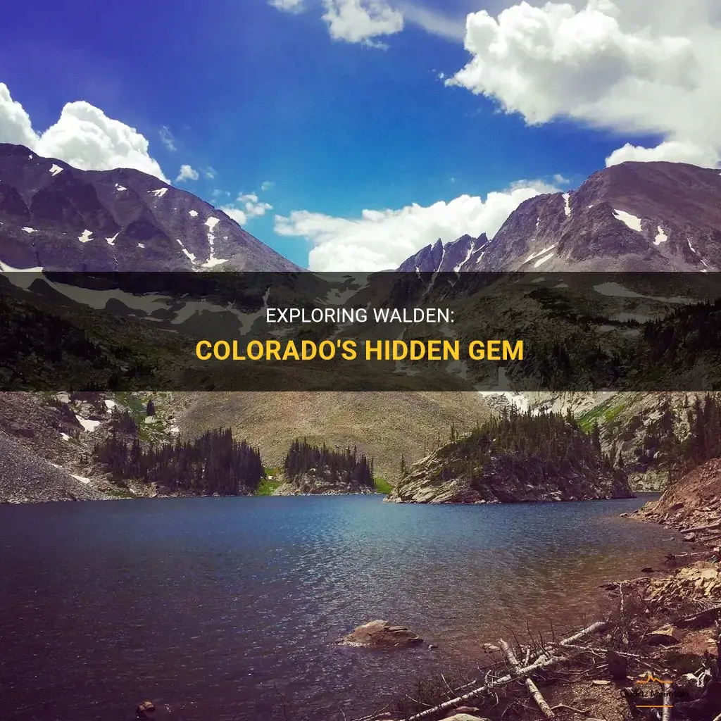 things to do in walden colorado