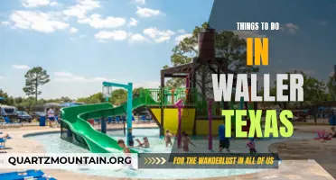 Discover the Charm of Waller, Texas: Top Things to See and Do