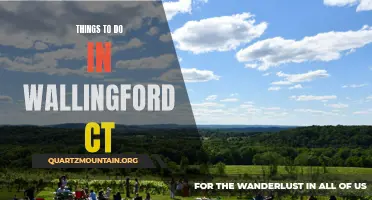 13 Fun and Exciting Things to Do in Wallingford, CT