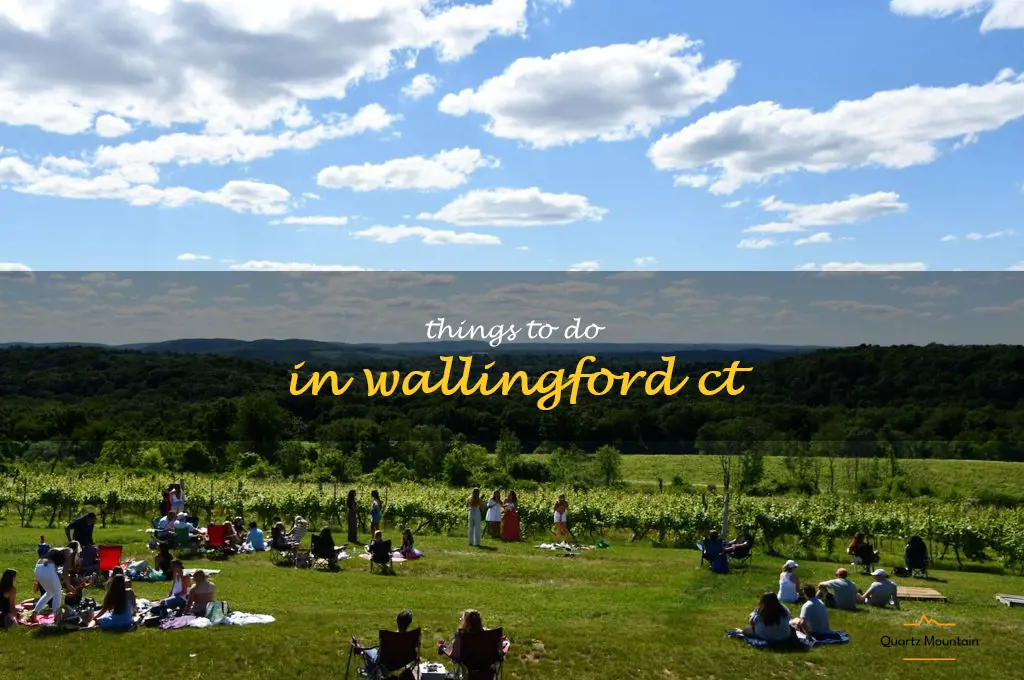 things to do in wallingford ct