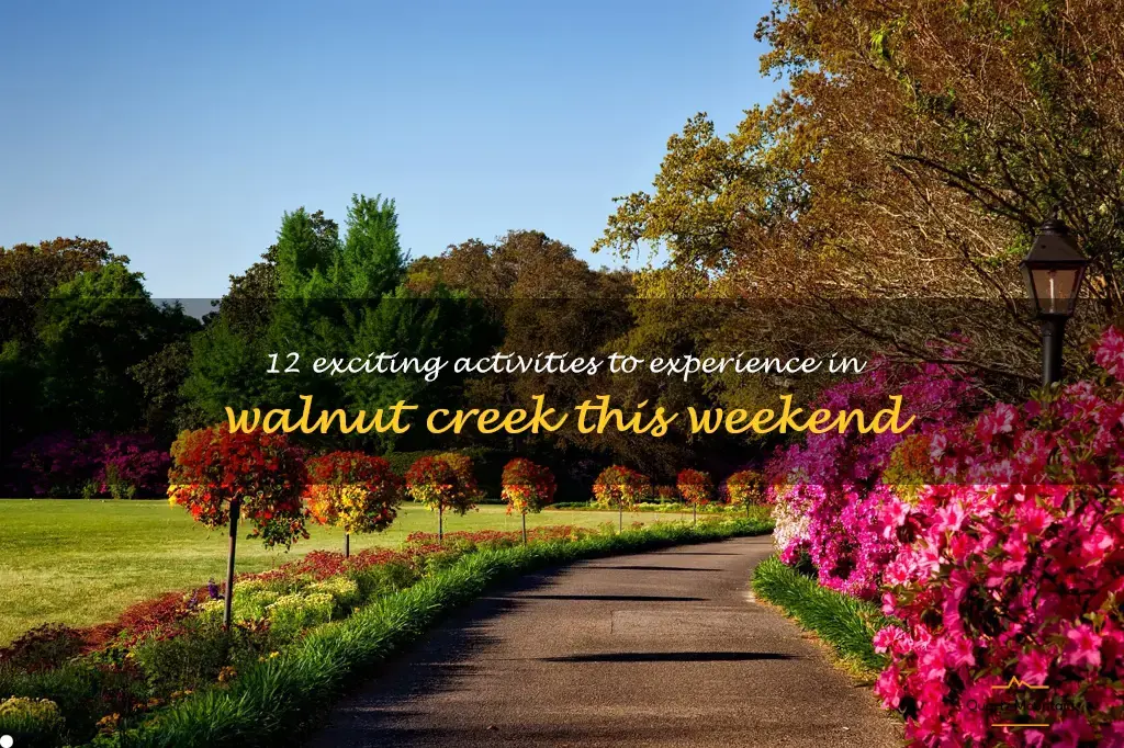 things to do in walnut creek this weekend