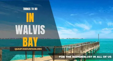Top 10 Exciting Things to Do in Walvis Bay