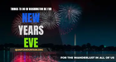 Unforgettable New Year's Eve in Washington DC: Exploring the City's Countdown Celebrations