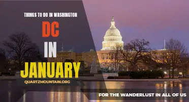 12 Must-Do Activities in Washington DC in January.