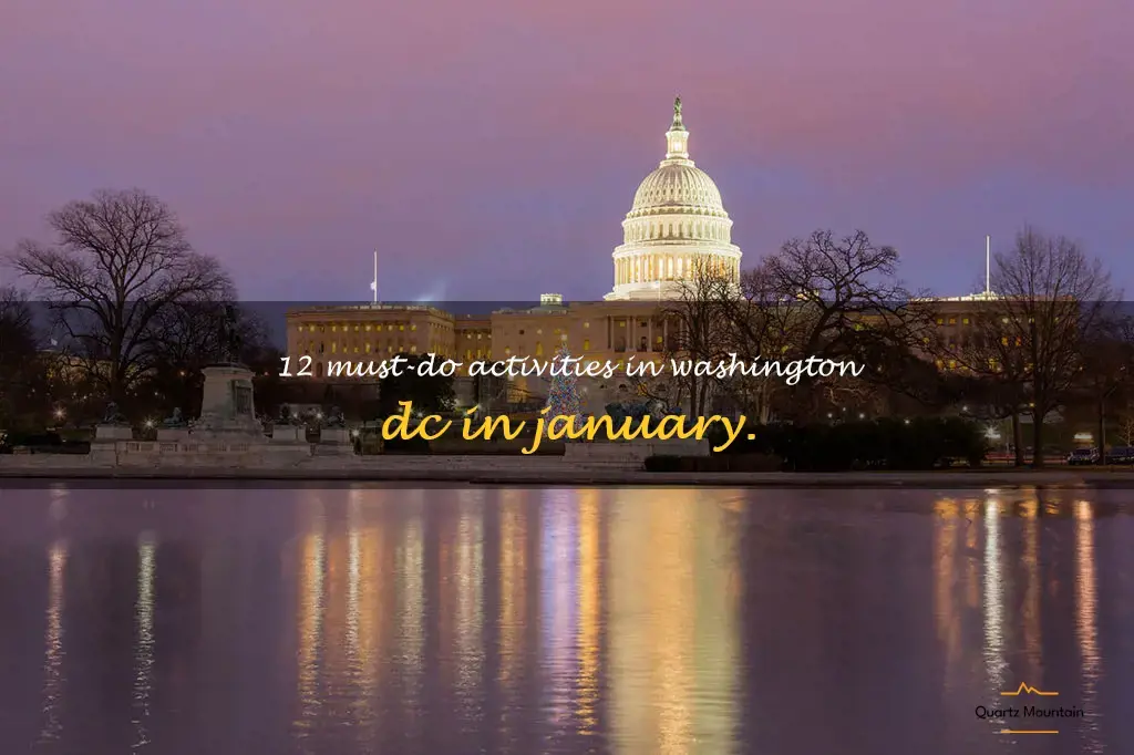 things to do in washington dc in january