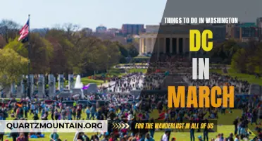 12 Exciting Activities to Enjoy in Washington DC during March