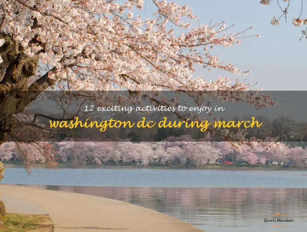 things to do in washington dc in march