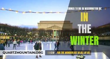 10 Winter Activities to Enjoy in Washington D.C