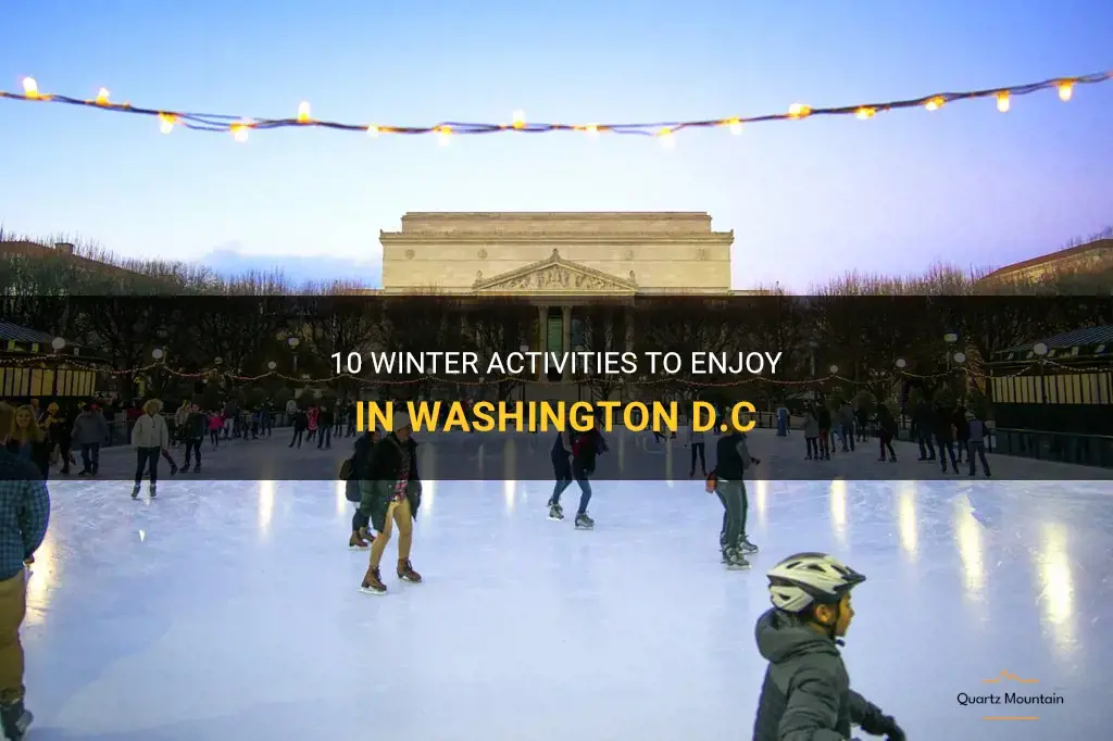 things to do in washington dc in the winter
