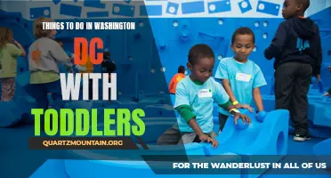 12 fun activities for toddlers in Washington DC