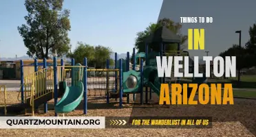 Wellton's Wonderland: Discover the Best Activities and Attractions in Arizona