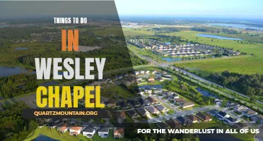 14 Fun Things To Do In Wesley Chapel