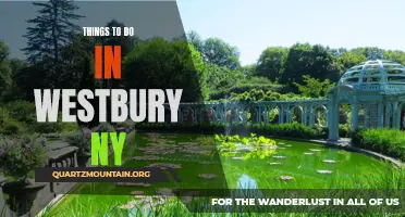 12 Exciting Activities to Experience in Westbury, NY