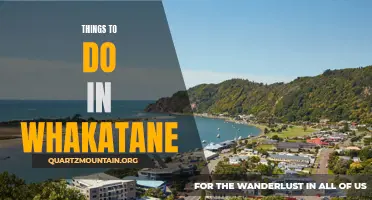 10 Must-Do Activities for Visitors in Whakatane