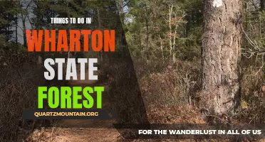 8 Adventurous Things to Do in Wharton State Forest