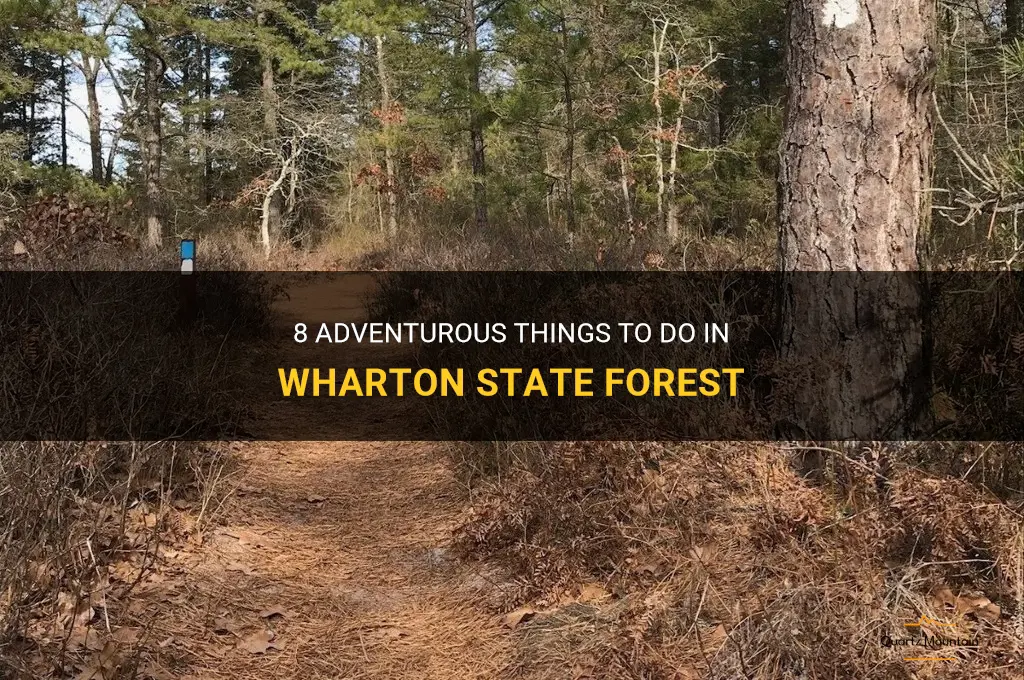 things to do in wharton state forest