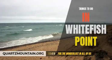 12 Exciting Things to Do in Whitefish Point: Must-Visit Attractions for Tourists!