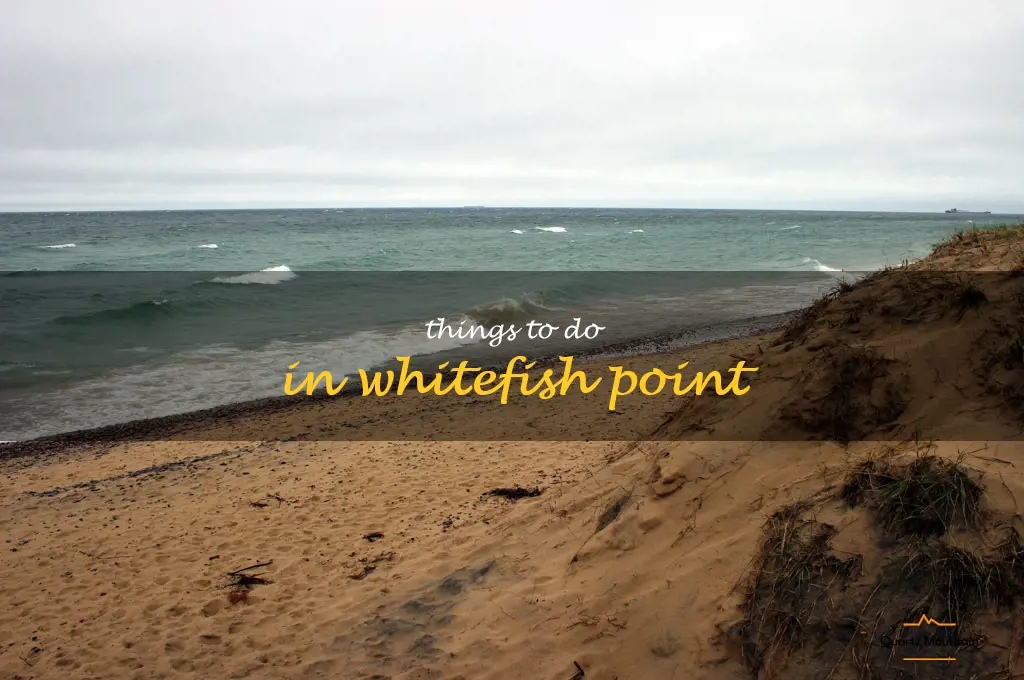 things to do in whitefish point