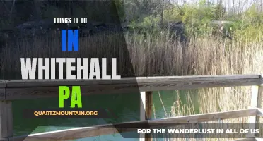 12 Fun Activities to Explore in Whitehall, PA
