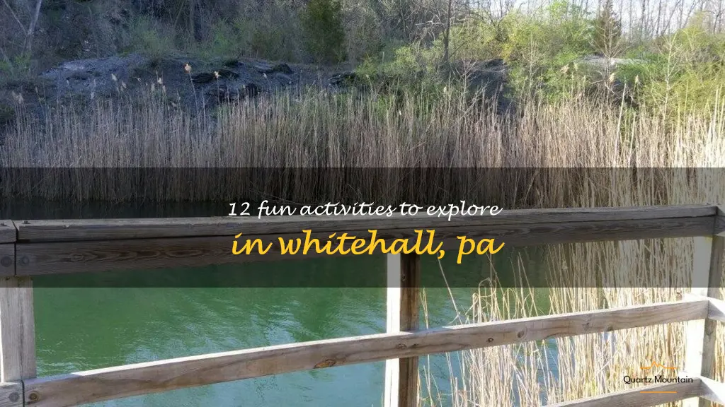 things to do in whitehall pa