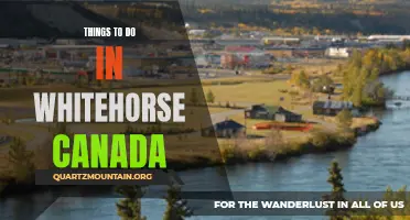 12 Must-Do Activities in Whitehorse, Canada