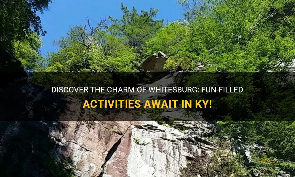 things to do in whitesburg ky