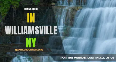 14 Fun Things to Do in Williamsville NY
