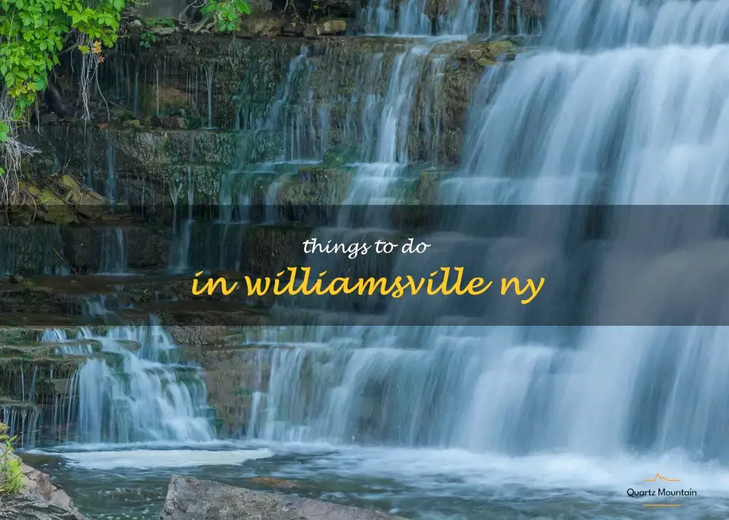 things to do in williamsville ny