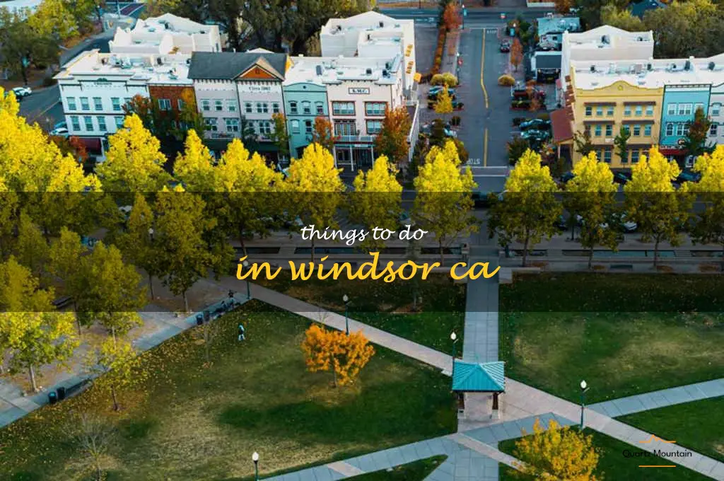 things to do in windsor ca
