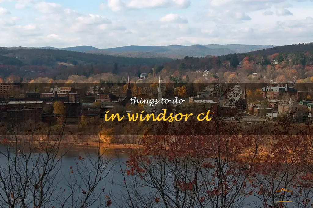 things to do in windsor ct