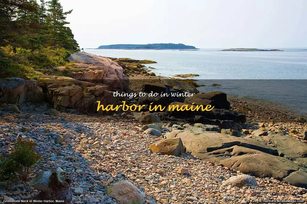 things to do in winter harbor in maine