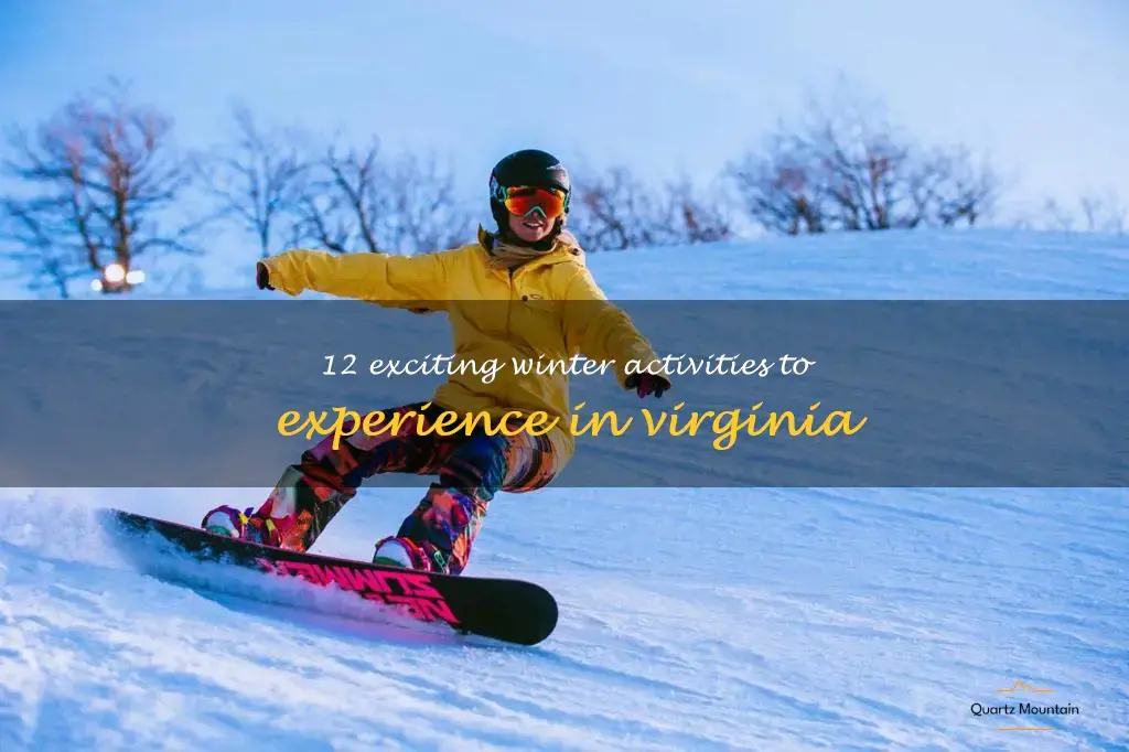 things to do in winter in virginia