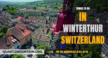 Exploring the Charms of Winterthur: Top Things to Do in Switzerland's Cultural Gem