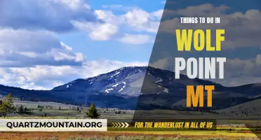 10 Best Activities to Experience in Wolf Point, MT