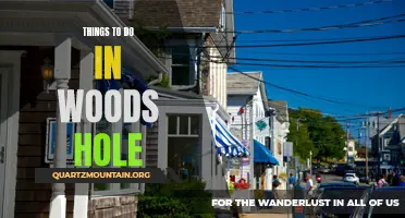 11 Fun Things to Do in Woods Hole: From Beaches to Museums!
