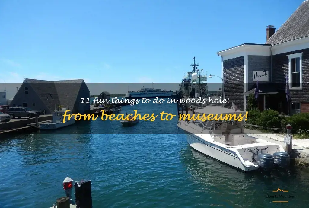 things to do in woods hole