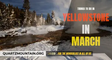 10 Things to Explore in Yellowstone National Park in March