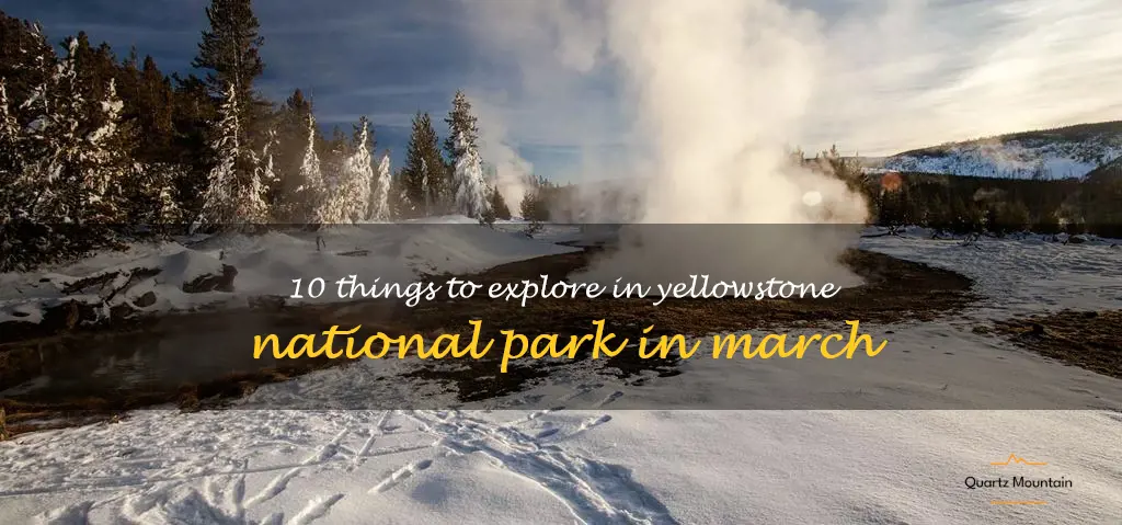 things to do in yellowstone in march