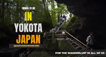 12 Must-Try Experiences: Yokota Japan Travel Guide