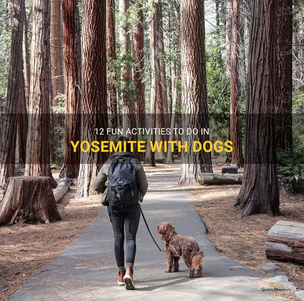 things to do in yosemite with dogs